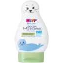 Hipp doccia shampoo 2 in 1 foca